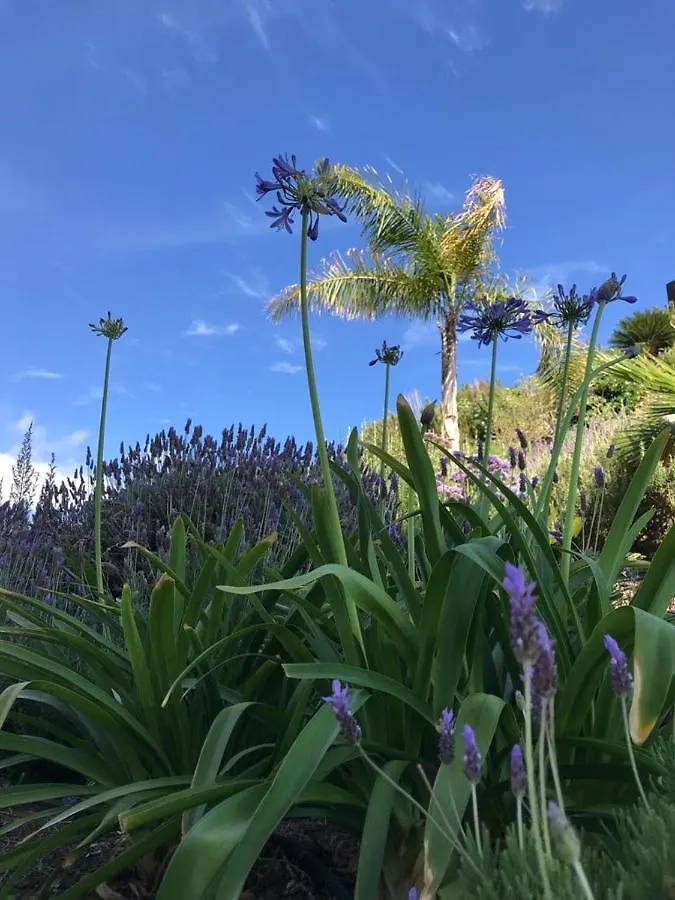 Marisol Beautiful Apartment With Oceanview Costa Adeje  0*, Costa Adeje (Tenerife)